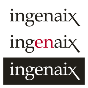 Ingenaix - Primär Logo