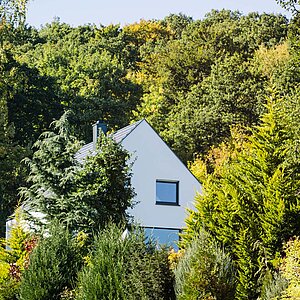 Haus L - Osten Perspektive Wald