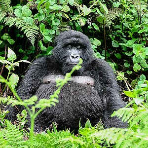 Susa Group - Sonnenbad