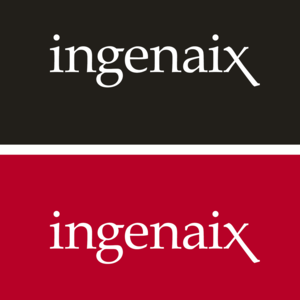 Ingenaix - Logo auf Farbe
