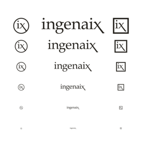 Ingenaix - Logo Verkleinerung