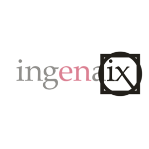 Ingenaix - Sekundär Logo