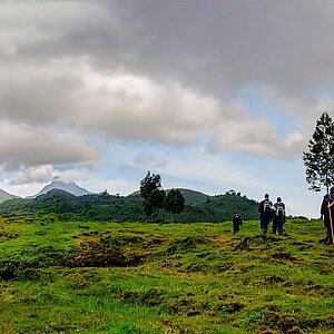 Aufbruch zu den Gorillas