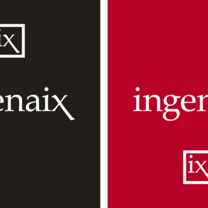 Ingenaix - CI Farbe