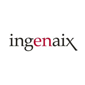 Ingenaix - Primär Logo