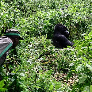 Group 13 - Der erste Kontakt