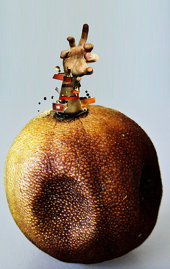 Bildmanipulation 2003 - Trauerpflanze