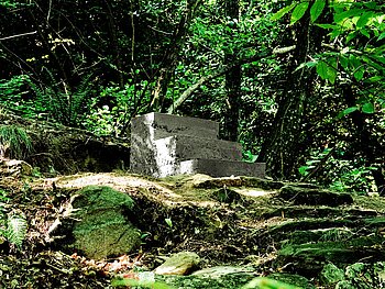 Die Treppe - Betontreppe im Wald von Formine (Lago Maggiore)