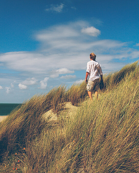 Mann und das Meer, Holland 2017